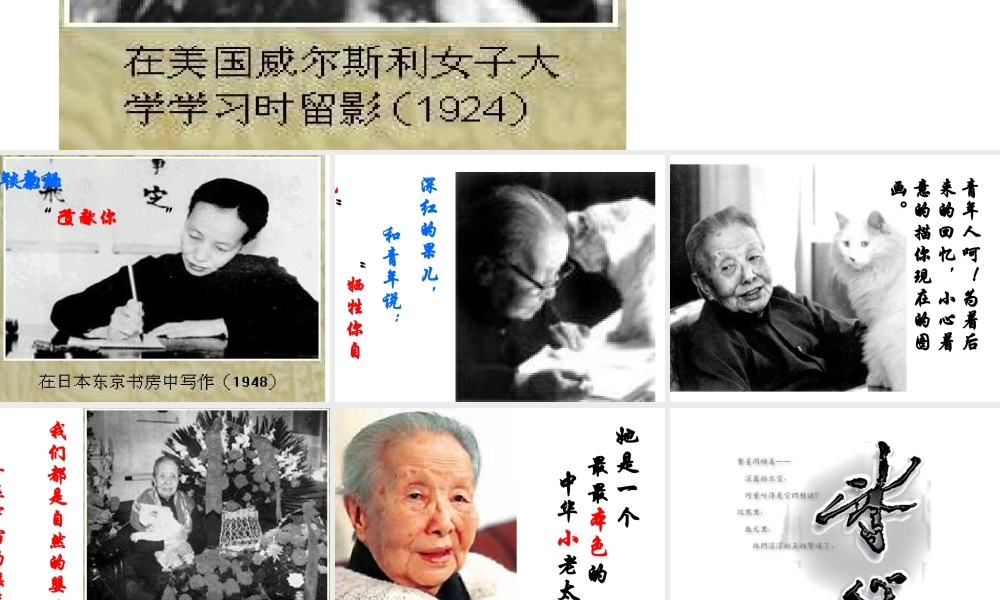 七年级语文下册 第10课(想念冰心)课件 北京课改版 课件