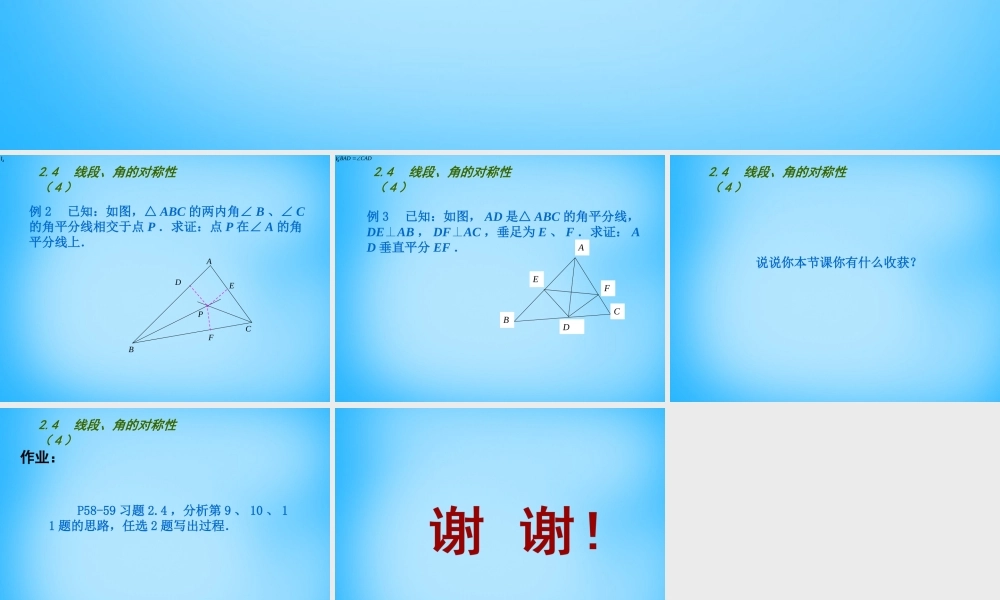 八年级数学上册 2.4 线段、角的对称性课件3 (新版)苏科版 课件