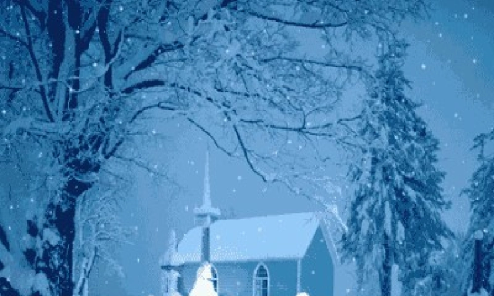 七年级生物下册：第四单元第三章第三节空气质量与健康2课件 人教版 课件