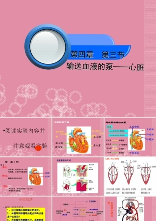 七年级生物下册 4.3 输送血液的泵—心脏课件 新人教版 课件
