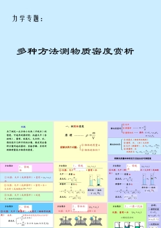 初中物理总复习力学专题 多种方法测密度课件