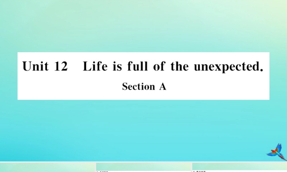 九年级英语全册 Unit 12 Life is full of the unexpected Section A习题课件 (新版)人教新目标版 课件