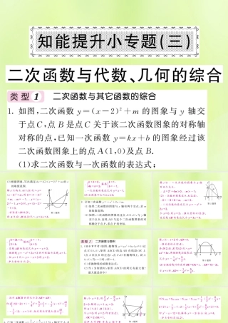 九年级数学下册 第1章 二次函数 知能提升小专题(三)二次函数与代数、几何的综合习题课件 (新版)湘教版 课件