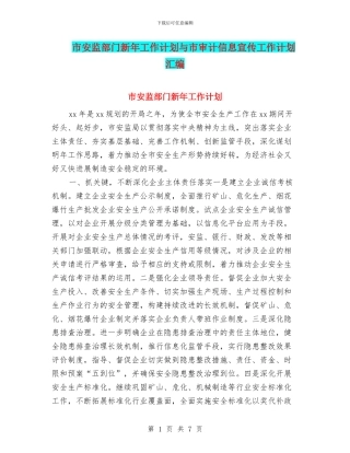 市安监部门新年工作计划与市审计信息宣传工作计划汇编