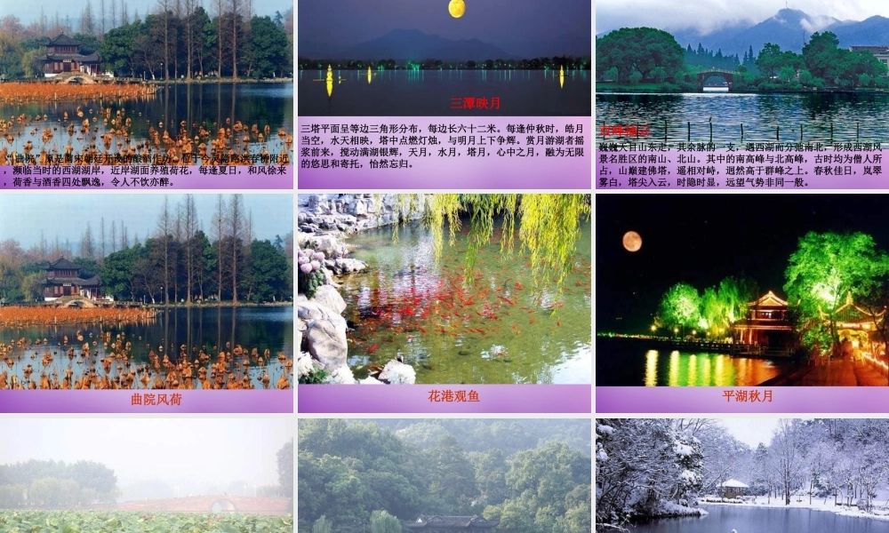 八年级语文上册 第6单元 29 湖心亭看雪课件 新人教版 课件