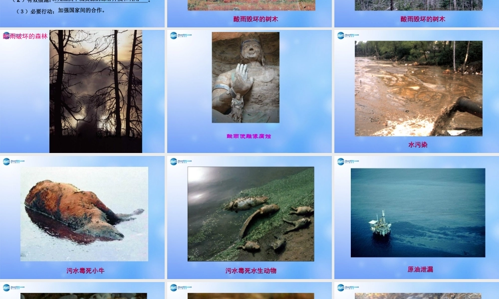 七年级生物下册 第七章 第2节 探究环境污染对生物的影响课件 新人教版 课件