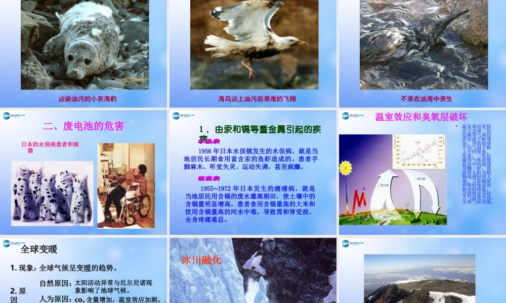 七年级生物下册 第七章 第2节 探究环境污染对生物的影响课件 新人教版 课件