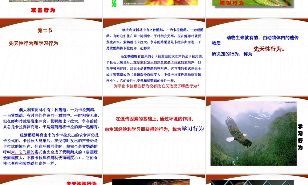 八年级生物上册 先天性行为和学习行为课件 人教新课标版 课件