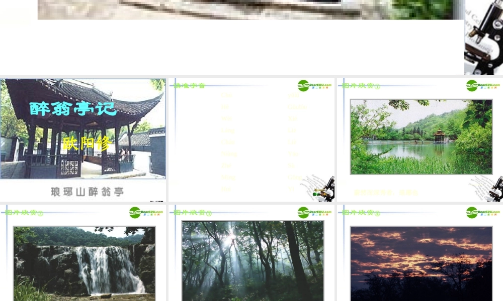 九年级语文上册(醉翁亭记)教学课件 苏教版 课件