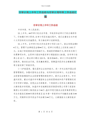 市审计局上半年工作总结与市审计局年终工作总结汇编