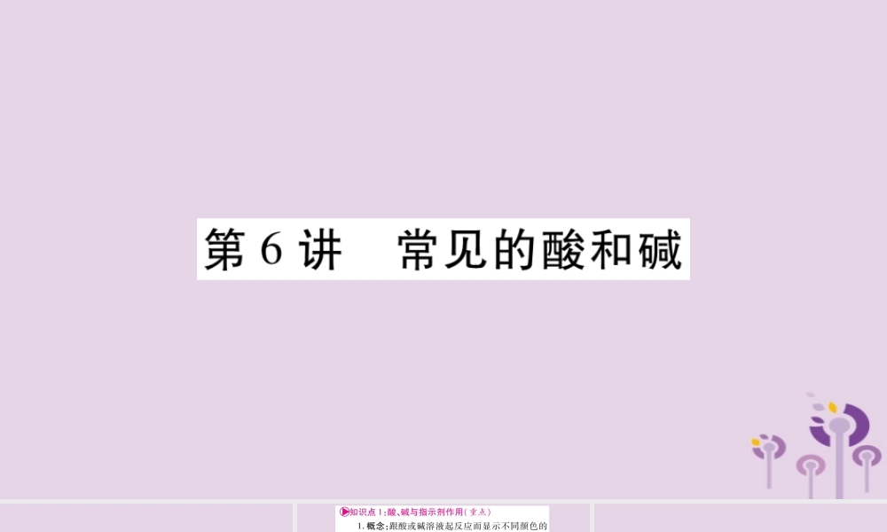 中考化学复习 第一部分 基础知识 第一单元 常见的物质 第6讲 常见的酸和碱(精讲)课件