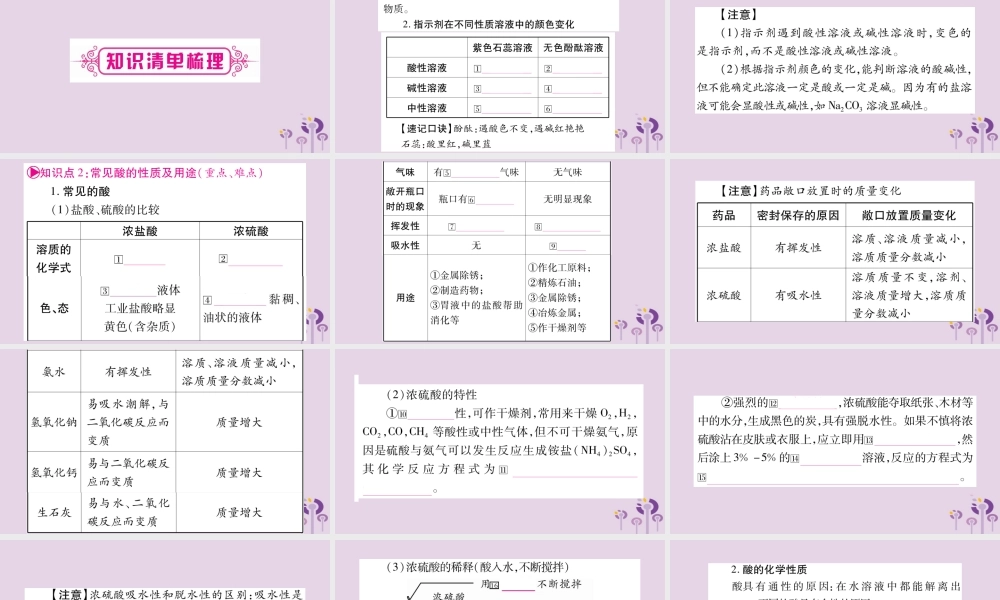 中考化学复习 第一部分 基础知识 第一单元 常见的物质 第6讲 常见的酸和碱(精讲)课件