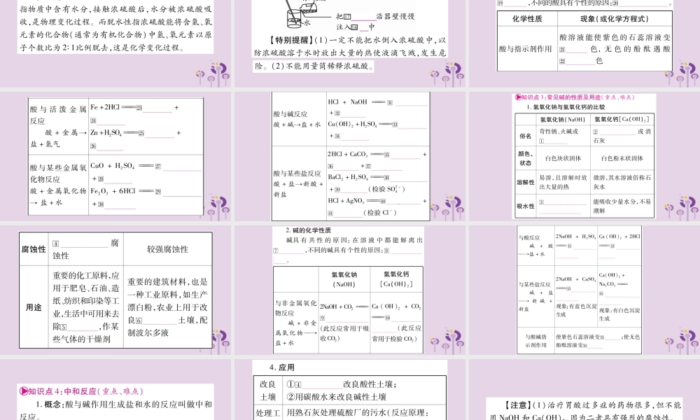 中考化学复习 第一部分 基础知识 第一单元 常见的物质 第6讲 常见的酸和碱(精讲)课件