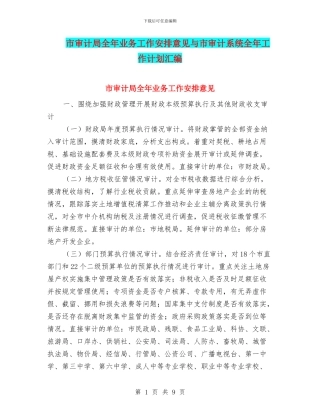 市审计局全年业务工作安排意见与市审计系统全年工作计划汇编