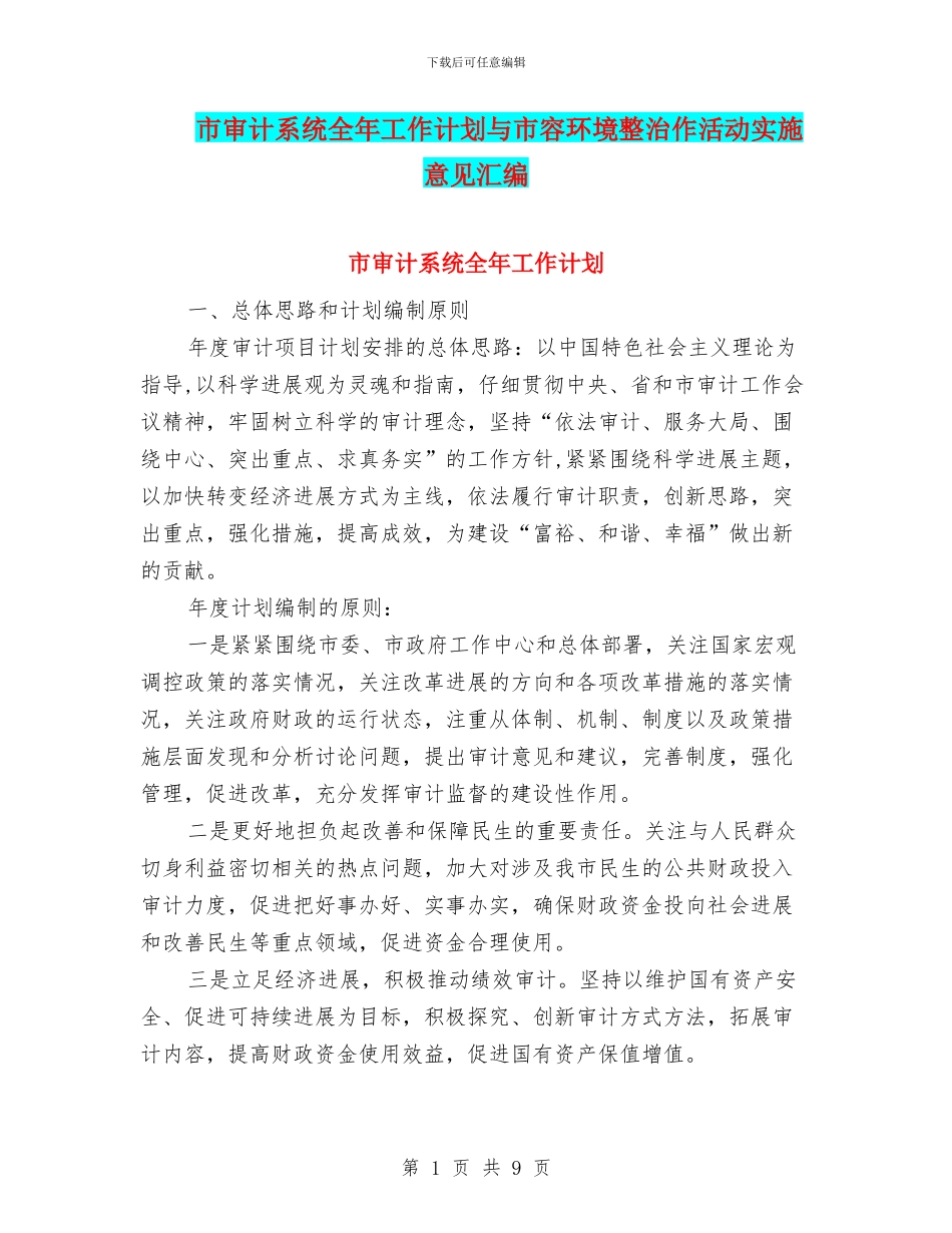 市审计系统全年工作计划与市容环境整治作活动实施意见汇编_第1页