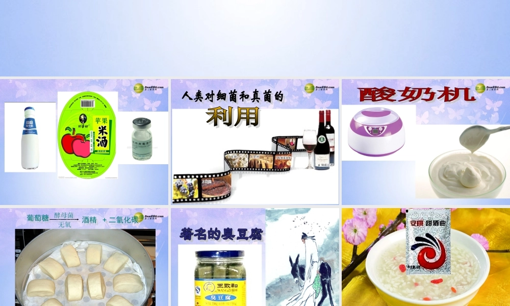 八年级生物上册 第四章 第五节 人类对细菌和真菌的利用课件 新人教版 课件