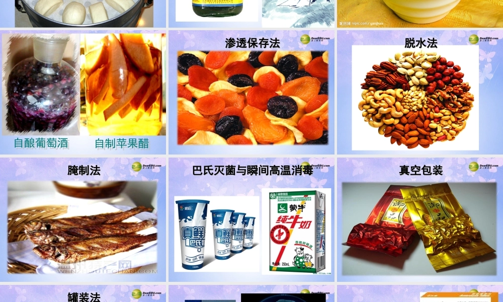 八年级生物上册 第四章 第五节 人类对细菌和真菌的利用课件 新人教版 课件