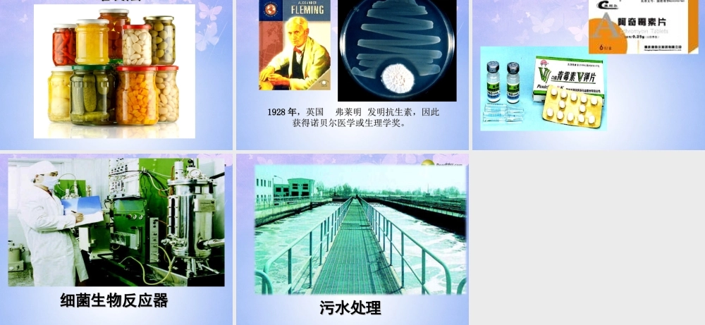 八年级生物上册 第四章 第五节 人类对细菌和真菌的利用课件 新人教版 课件