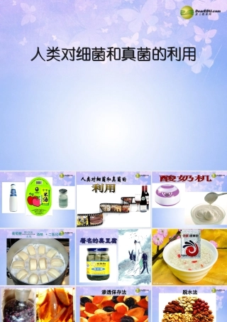 八年级生物上册 第四章 第五节 人类对细菌和真菌的利用课件 新人教版 课件