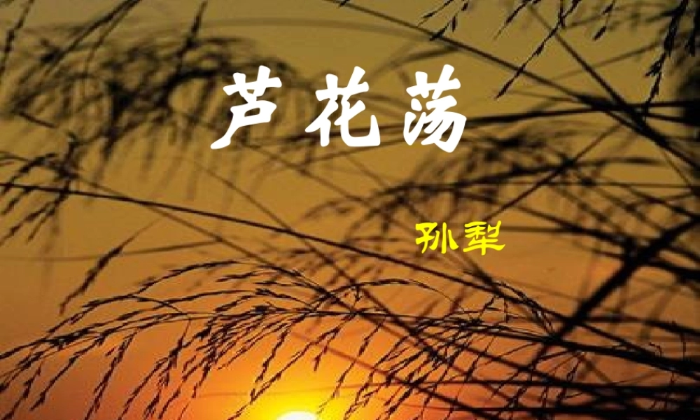 八年级语文上册 第2课(芦花荡)课件 人教新课标版 课件