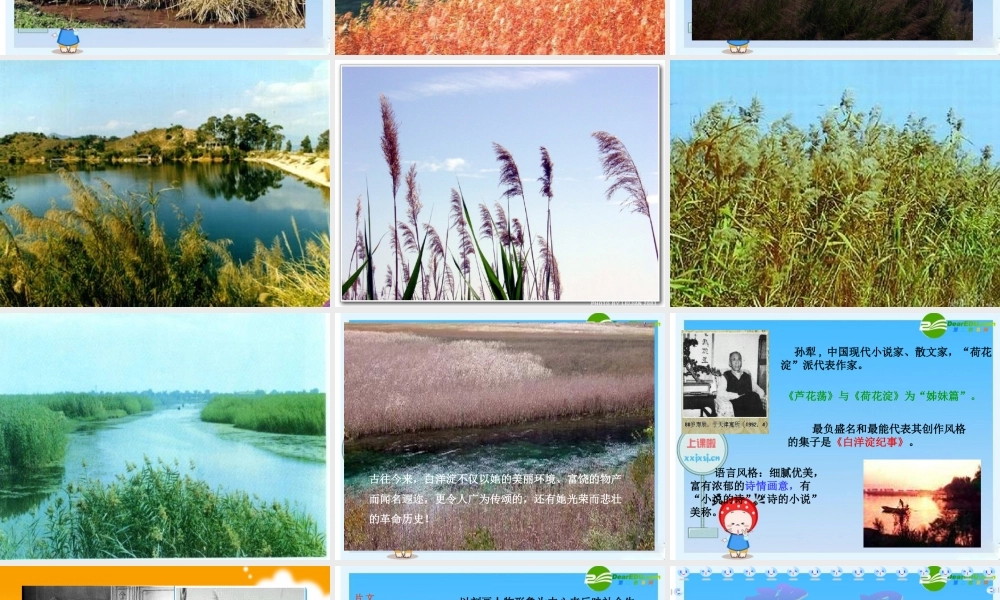 八年级语文上册 第2课(芦花荡)课件 人教新课标版 课件