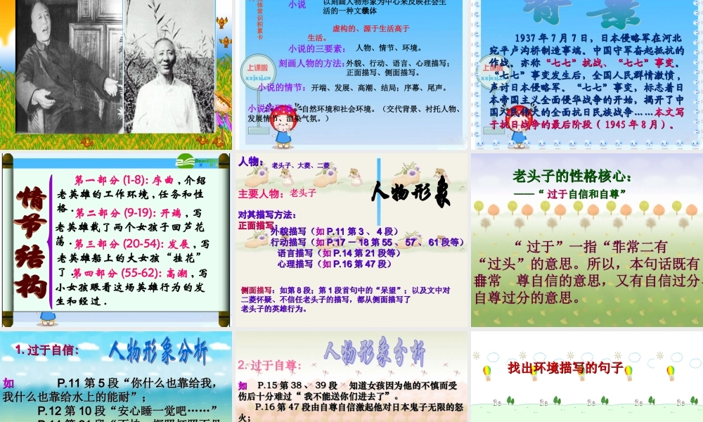 八年级语文上册 第2课(芦花荡)课件 人教新课标版 课件