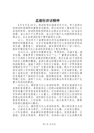 孟建柱讲话精神