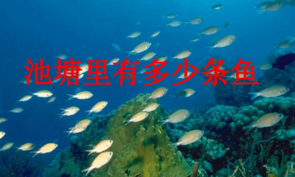 九年级数学下册 (池塘里有多少条鱼)课件 北师大版 课件