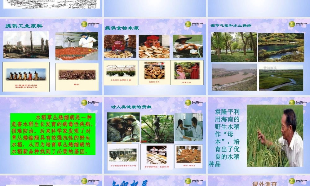 八年级生物上册 第六单元 生物多样性复习课件 新人教版 课件