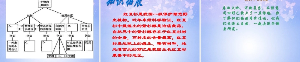 八年级生物上册 第六单元 生物多样性复习课件 新人教版 课件