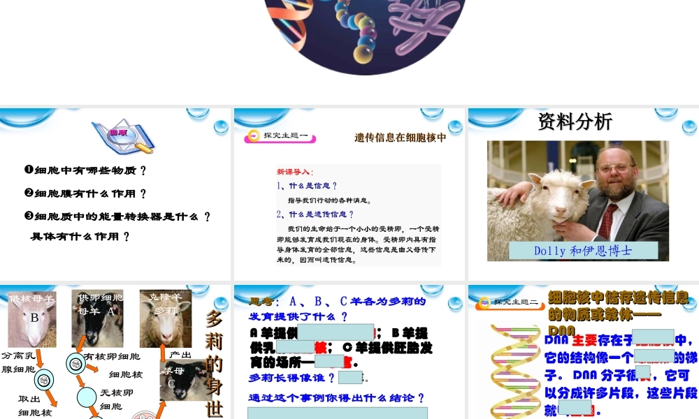 七年级生物上册 第二节细胞核是遗传信息库课件 人教新课标版 课件