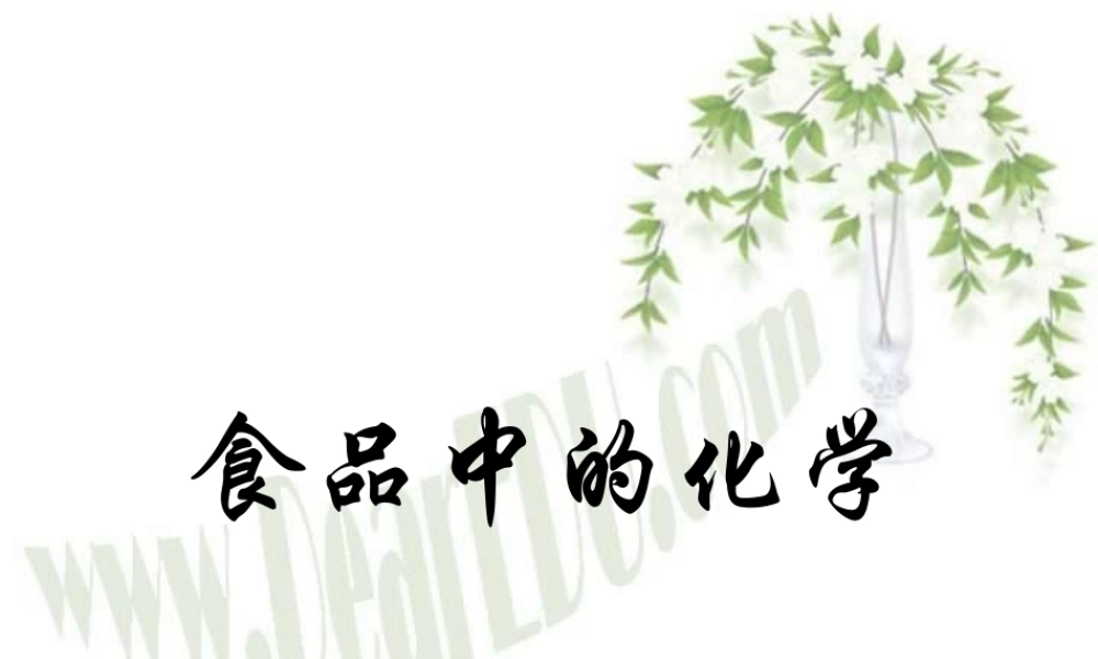 初三化学复习研讨课 食品中的化学 新课标 课件