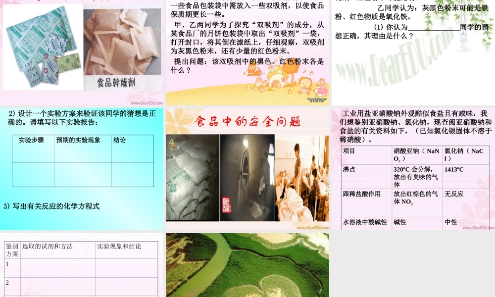 初三化学复习研讨课 食品中的化学 新课标 课件