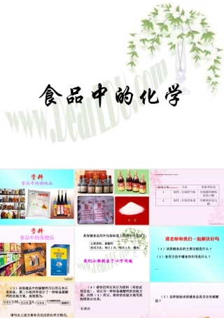 初三化学复习研讨课 食品中的化学 新课标 课件