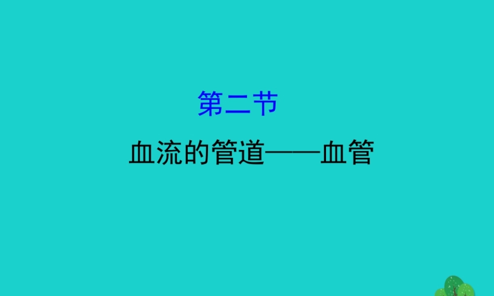 七年级生物下册 4.4.2血流的管道 血管习题课件(新版)新人教版 课件