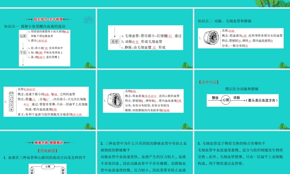 七年级生物下册 4.4.2血流的管道 血管习题课件(新版)新人教版 课件