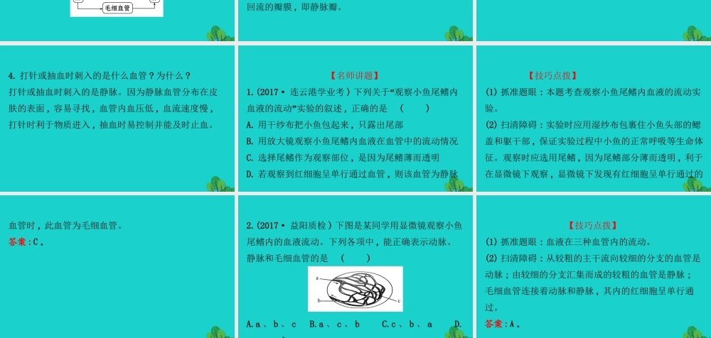 七年级生物下册 4.4.2血流的管道 血管习题课件(新版)新人教版 课件