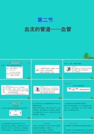 七年级生物下册 4.4.2血流的管道 血管习题课件(新版)新人教版 课件
