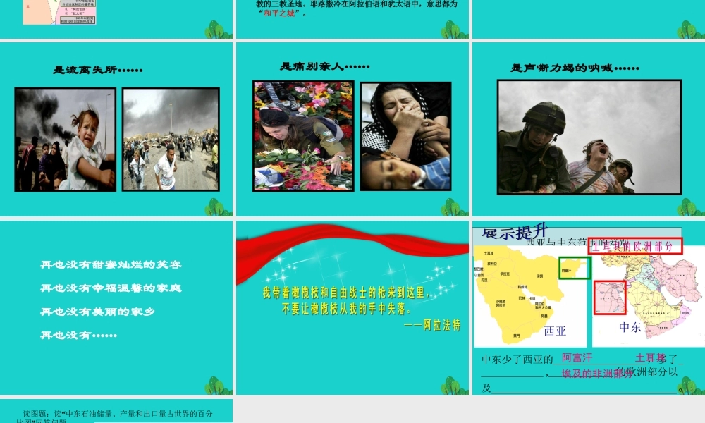 八年级地理下册 第6章 第二节 中东 活动课 聚焦中东——地区冲突的地理背景课件 中图版 课件