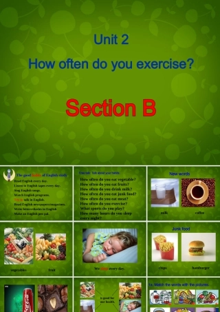 八年级英语上册 Unit 2 How often do you exercise Section B课件 (新版)人教新目标版 课件