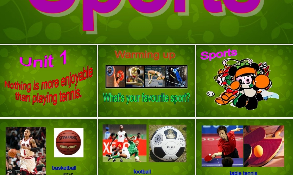 八年级英语上册 Module 3 Unit 1 Nothing is more exciting than playing tennis课件 (新版)外研版 课件