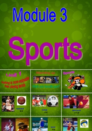 八年级英语上册 Module 3 Unit 1 Nothing is more exciting than playing tennis课件 (新版)外研版 课件