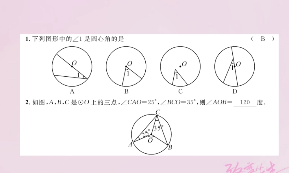 九年级数学上册 241 圆的有关性质 2413 弧、弦、圆心角练习课件 (新版)新人教版 课件