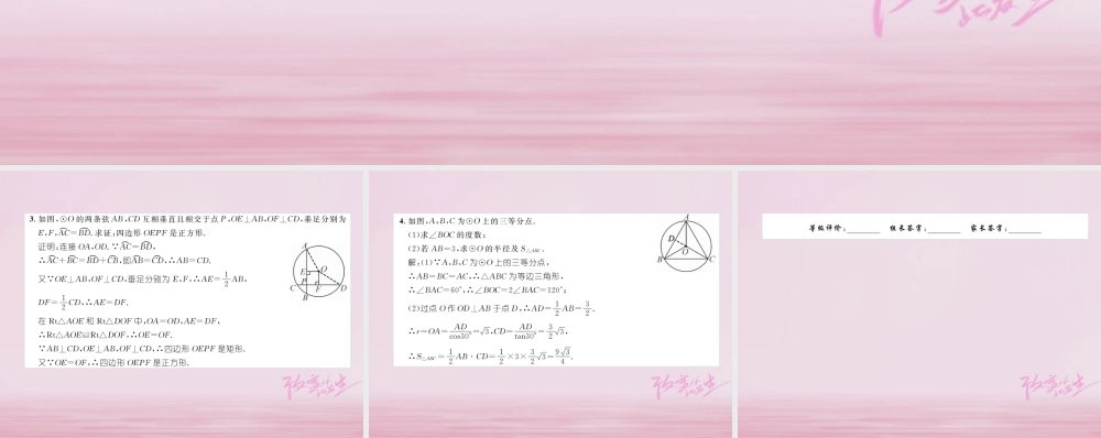 九年级数学上册 241 圆的有关性质 2413 弧、弦、圆心角练习课件 (新版)新人教版 课件