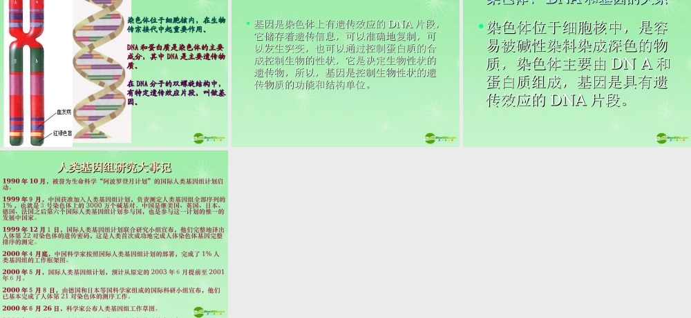 八年级生物上册 DNA是主要的遗传物质课件 苏教版 课件