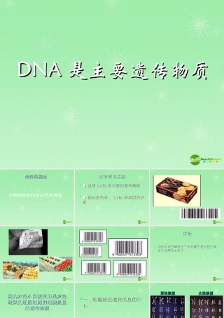 八年级生物上册 DNA是主要的遗传物质课件 苏教版 课件