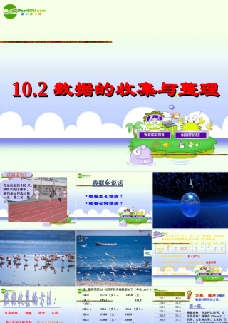 七年级数学下册 10.2数据的收集与整理课件 北京课改版 课件