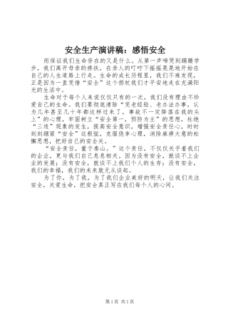 安全生产演讲稿：感悟安全