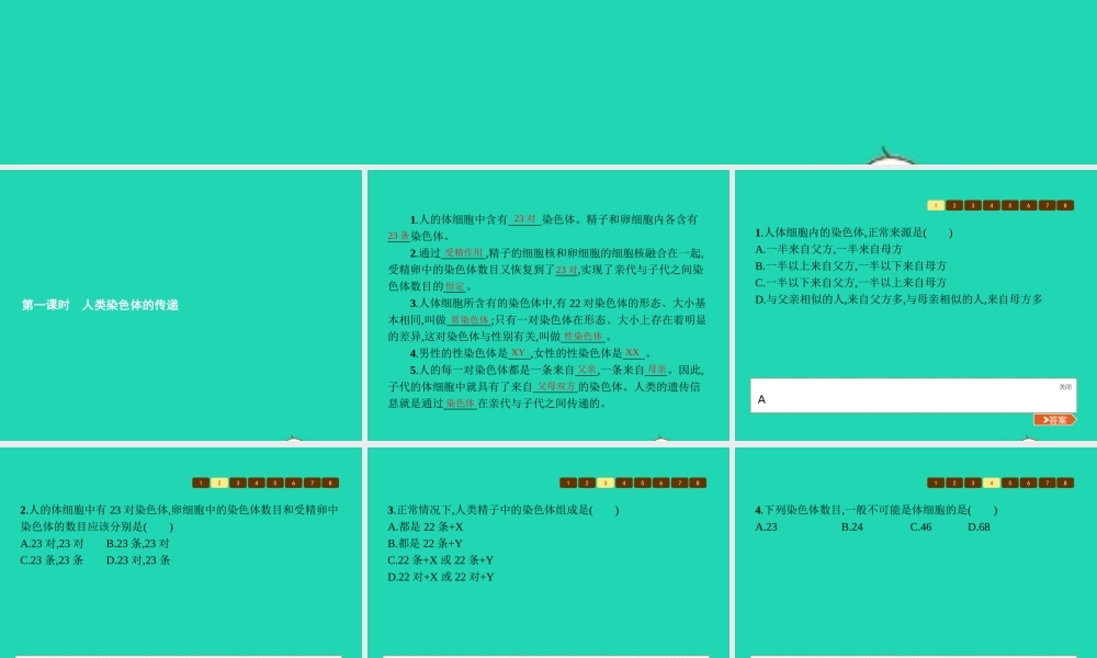 八年级生物上册 第四单元 第四章 第三节 人类染色体与性别决定(第1课时 人类染色体的传递)课件 (新版)济南版 课件