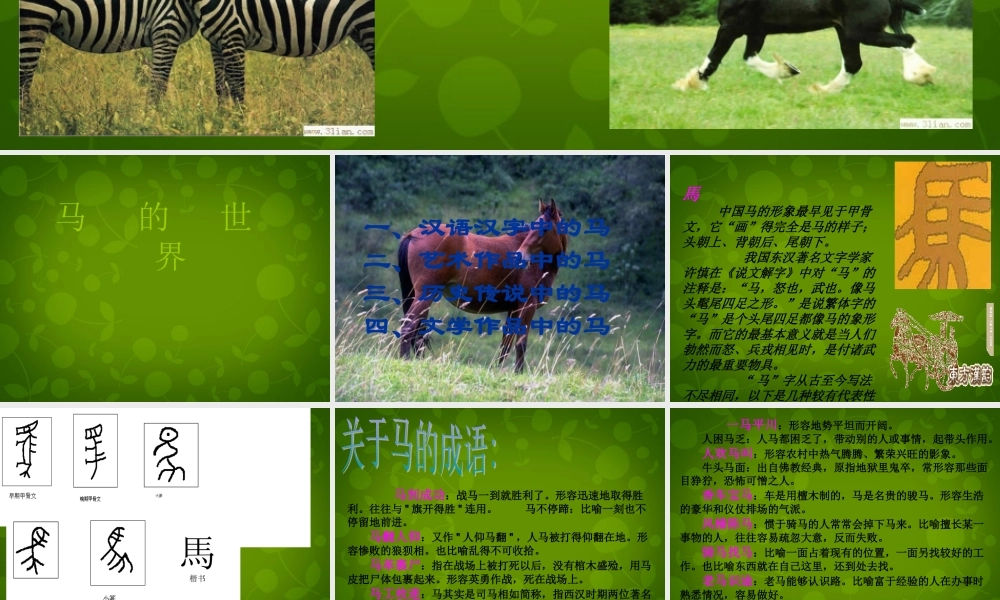 中学七年级语文下册 第六单元 综合性学习 马的世界课件 新人教版 课件